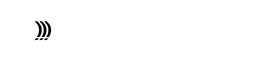 logotyp pirati bila