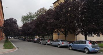 Piráti jsou proti neuváženému rušení parkovacích míst v centru Ostravy